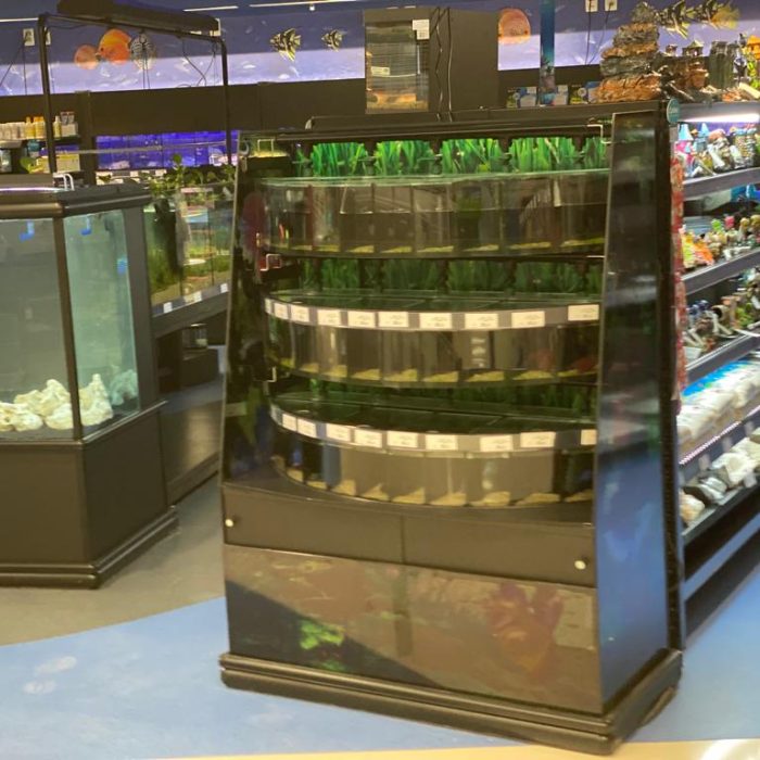 WhatsApp Image 2021-12-01 at 12.50.42 (4)