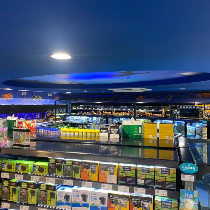 WhatsApp Image 2021-12-01 at 12.52.06 (12)